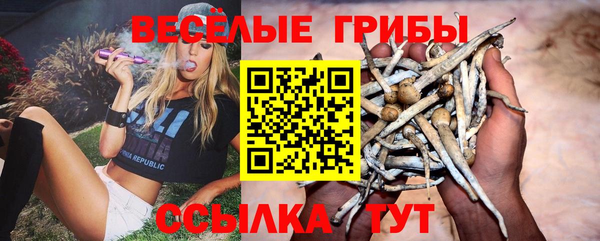 Галлюциногенные грибы мухоморы Клинцы