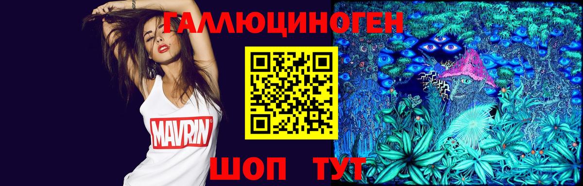 Псилоцибиновые грибы Cubensis  Вход с VPN  Клинцы 